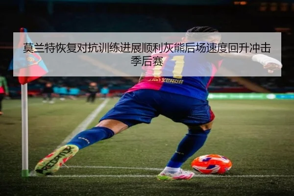 莫兰特恢复对抗训练进展顺利灰熊后场速度回升冲击季后赛